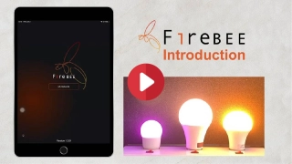 Beautiful Light Technology Corp.